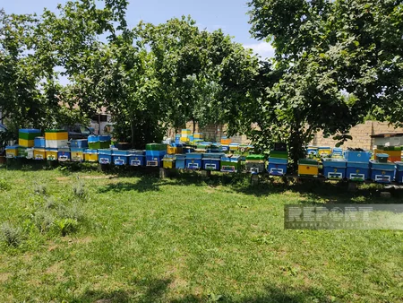 Qəbələdə keçmiş məcburi köçkünlər üçün qısamüddətli təlimlər keçirilib