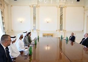 Президент Ильхам Алиев принял делегацию предпринимателей из ОАЭ