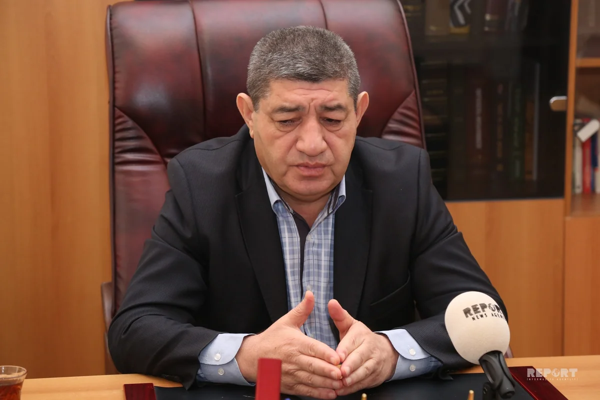 Nizami Cəfərov: Dili mütəmadi olaraq redaktə etmək lazımdır