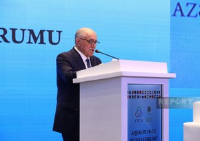 Məmməd Musayev: Qarabağ iqtisadi rayonundakı fərdi sahibkarların 5 %-dən çoxu qadınlardır
