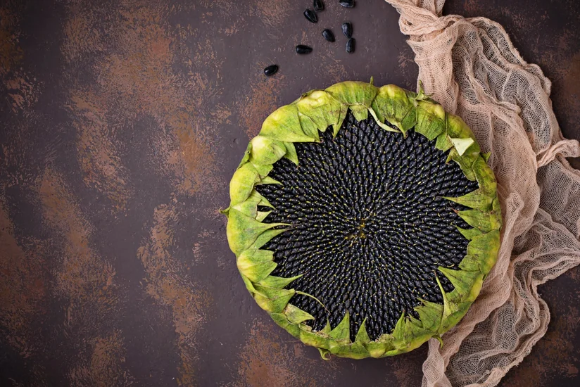 Azerbaijan starts supplying sunflower seeds from three countries