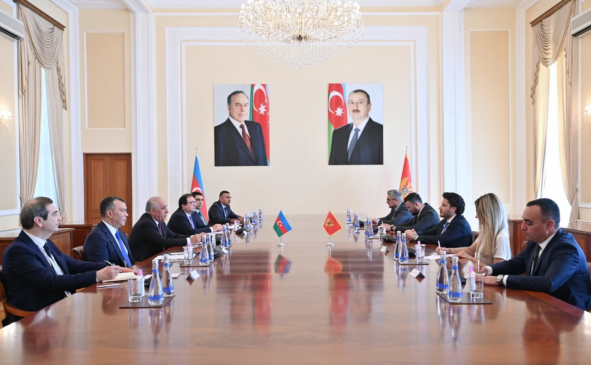 Əli Əsədov Monteneqronun Baş naziri ilə görüşüb