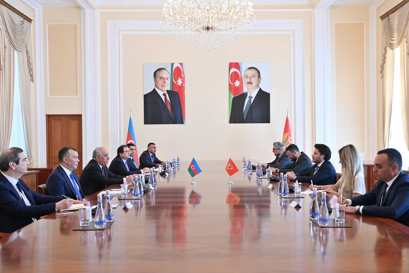 Əli Əsədov Monteneqronun Baş naziri ilə görüşüb