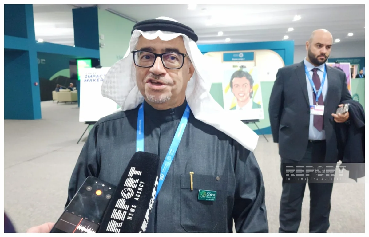 Saudi official: Azerbaijan made great efforts to organize COP29