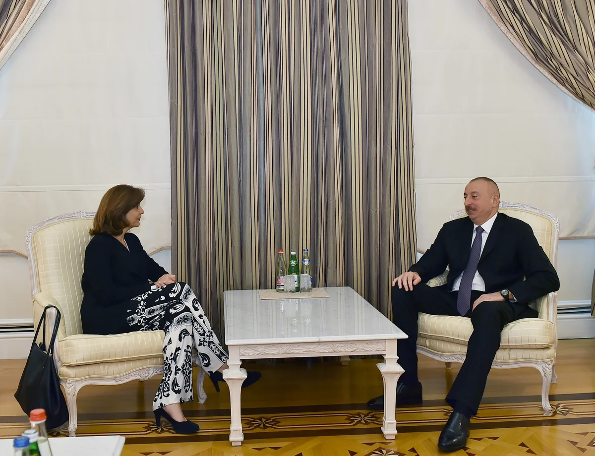 Azerbaijani President received Colombian FM