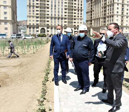 “Bibiheybət” yatağında yeni yaşıllıq zolaqları salınır