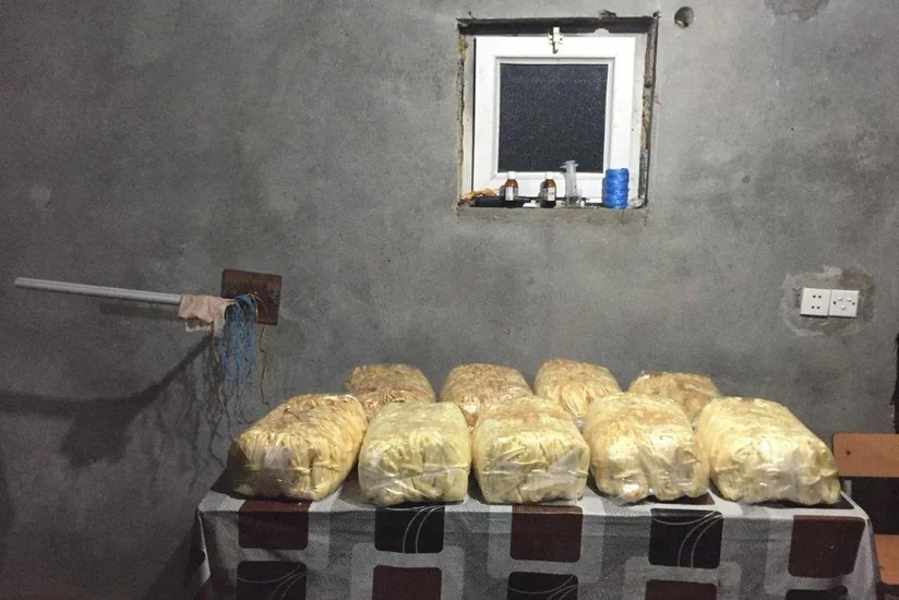 Bərdədə antisanitar şəraitdə məhsul istehsal edən pendir sexinin fəaliyyəti məhdudlaşdırılıb