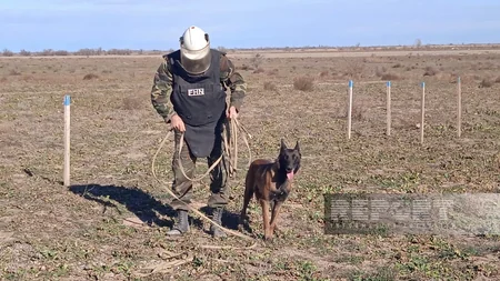 Cynologist: Specially trained dogs are used in areas heavily contaminated with mines