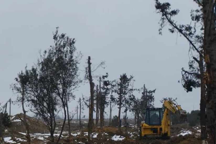 Bakıda yeni avtomobil yolu ilə əlaqəli tikinti altına düşən yaşıllıqların köçürülməsinə başlanılıb
