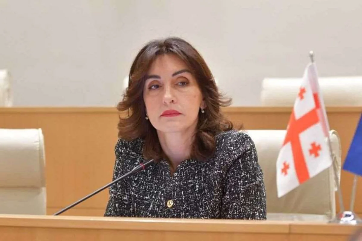 Georgian foreign minister: Opposition summoned to Brussels for training