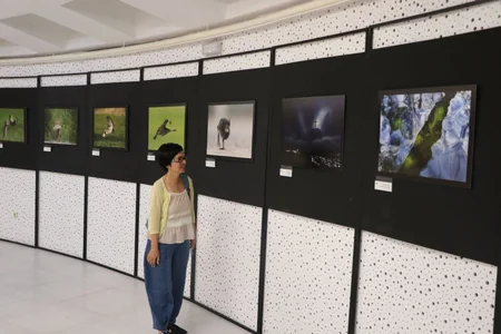 Bakıda “Təbiət möcüzələri” adlı foto-sərgi açılıb