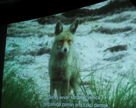 Absheron National Park documentary was presented