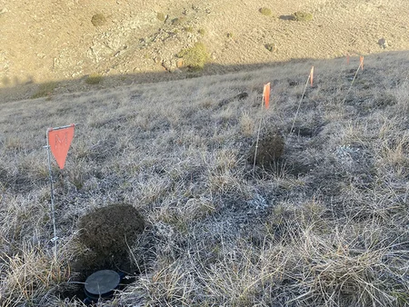 Minefield installed by illegal Armenian armed detachments inspected 