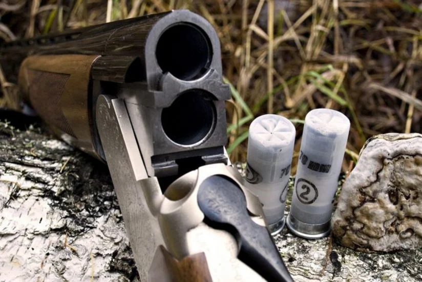 Vətəndaşlardan narkotik və silah aşkarlanıb