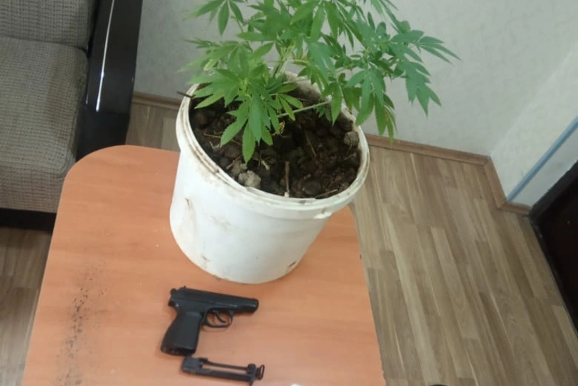 Şabran sakinindən silah tapılıb