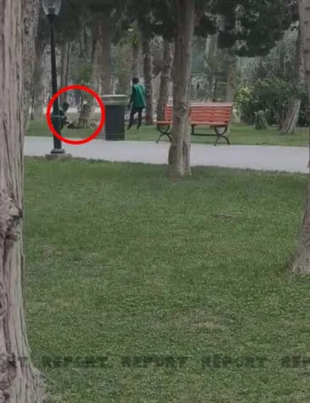 Bakıda parkda ağaclar niyə kəsilib? - AÇIQLAMA