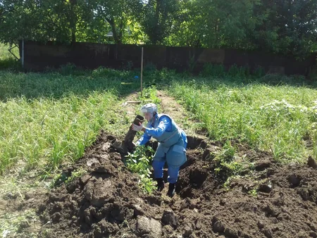 ​Tərtər və Füzulidə 4 ədəd partlamamış hərbi sursat aşkar edilib