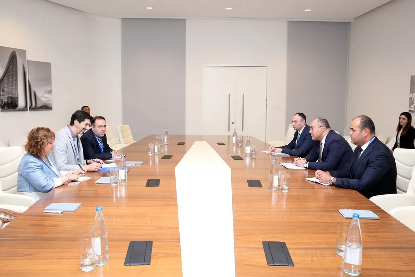 Dövlət Gömrük Komitəsinin sədri Beynəlxalq Miqrasiya Təşkilatının Azərbaycandakı nümayəndəliyinin rəhbəri ilə görüşüb