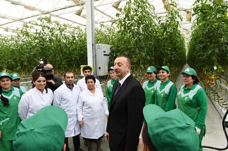 Prezident İlham Əliyev Zirə qəsəbəsində “BAKU AGROPARK”da görülən işlərlə tanış olub