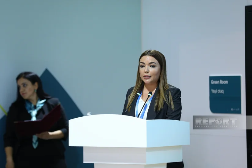 Глава агентства: Реальный климатический прогресс невозможен без НПО
