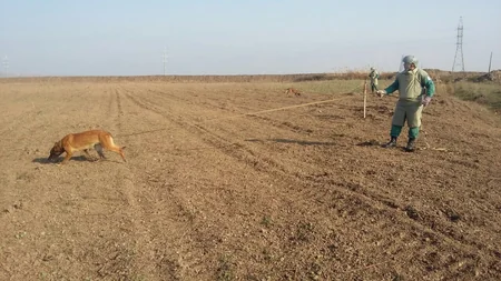 ANAMA ötən il 93 mln kv.m. ərazini təmizləyib