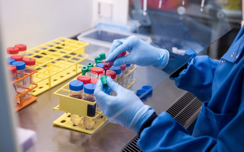 Komitə sədri: “Koronavirus testləri ilə bağlı monopoliyanı aradan qaldırmaq lazımdır”