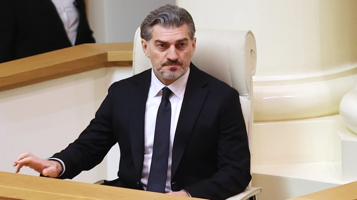 President: Georgia subjected to unfair attacks by European partners