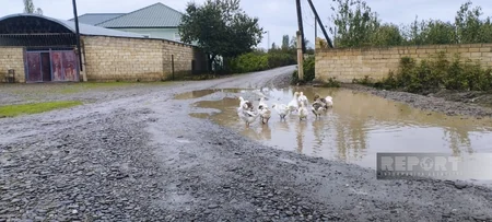 Xaçmazın unudulan kəndləri: sakinlərin çəkdiyi yolu yağış yuyub apardı - REPORTAJ