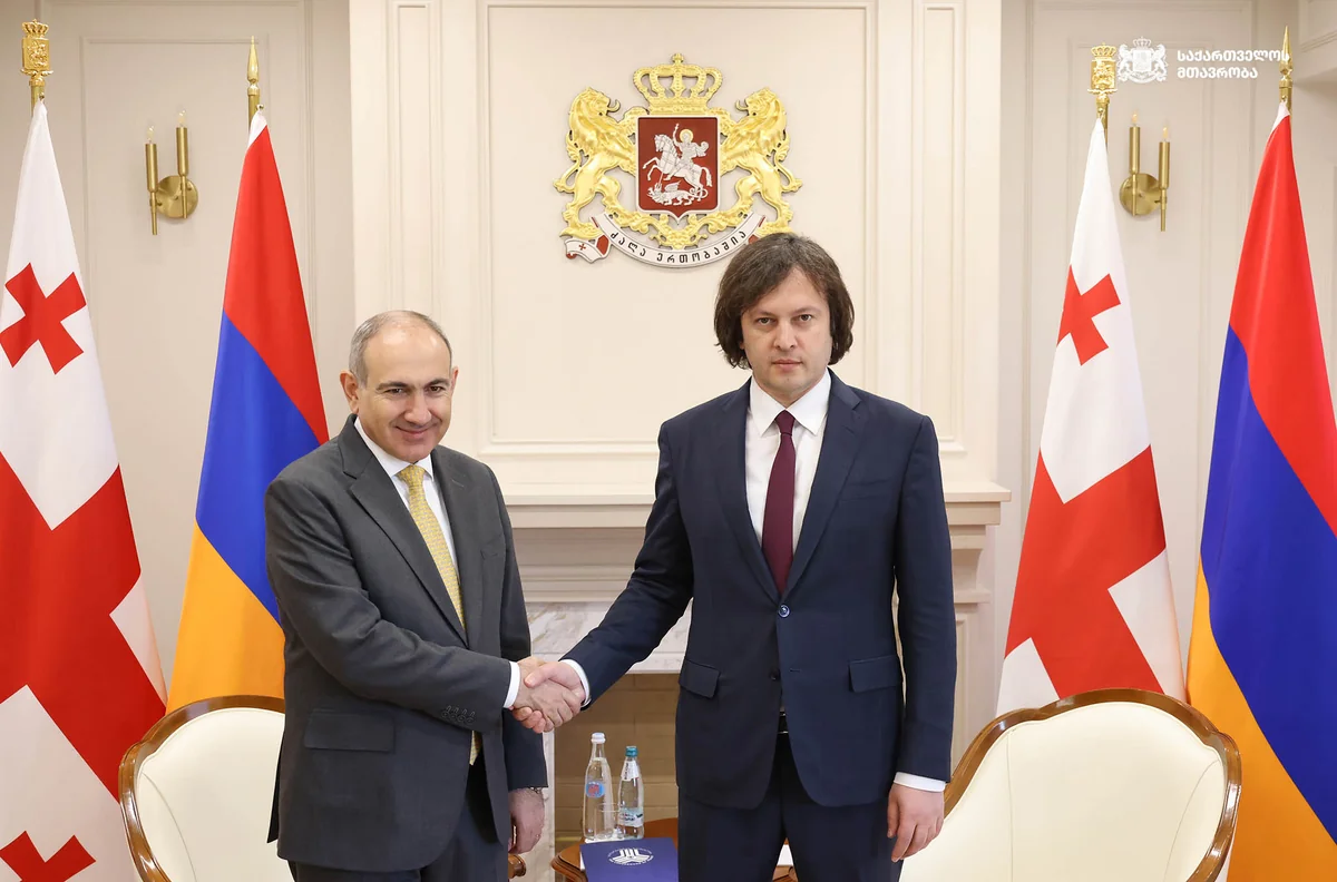 Кобахидзе принял в Тбилиси Пашиняна