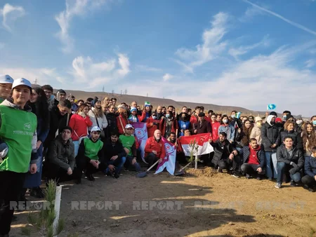 Xocasəndə 2000-dən çox müxtəlif cinsli ağac əkilib