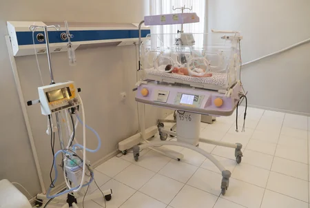 Leyla Əliyeva Sabunçu rayonundakı 2 saylı doğum evində olub