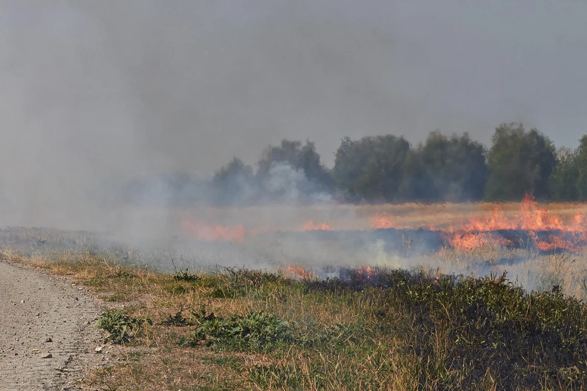 ​Ağstafada biçilmiş taxıl sahəsi yandırılıb