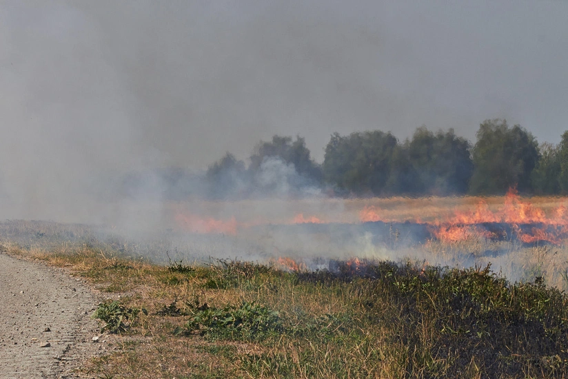 ​Ağstafada biçilmiş taxıl sahəsi yandırılıb