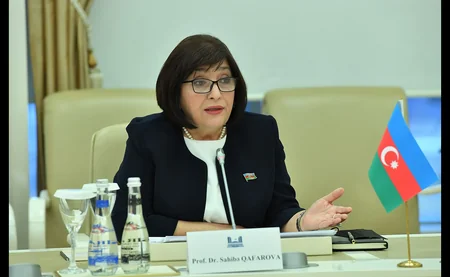 Сахиба Гафарова встретилась с главой межпарламентской группы дружбы Великобритания-Азербайджан