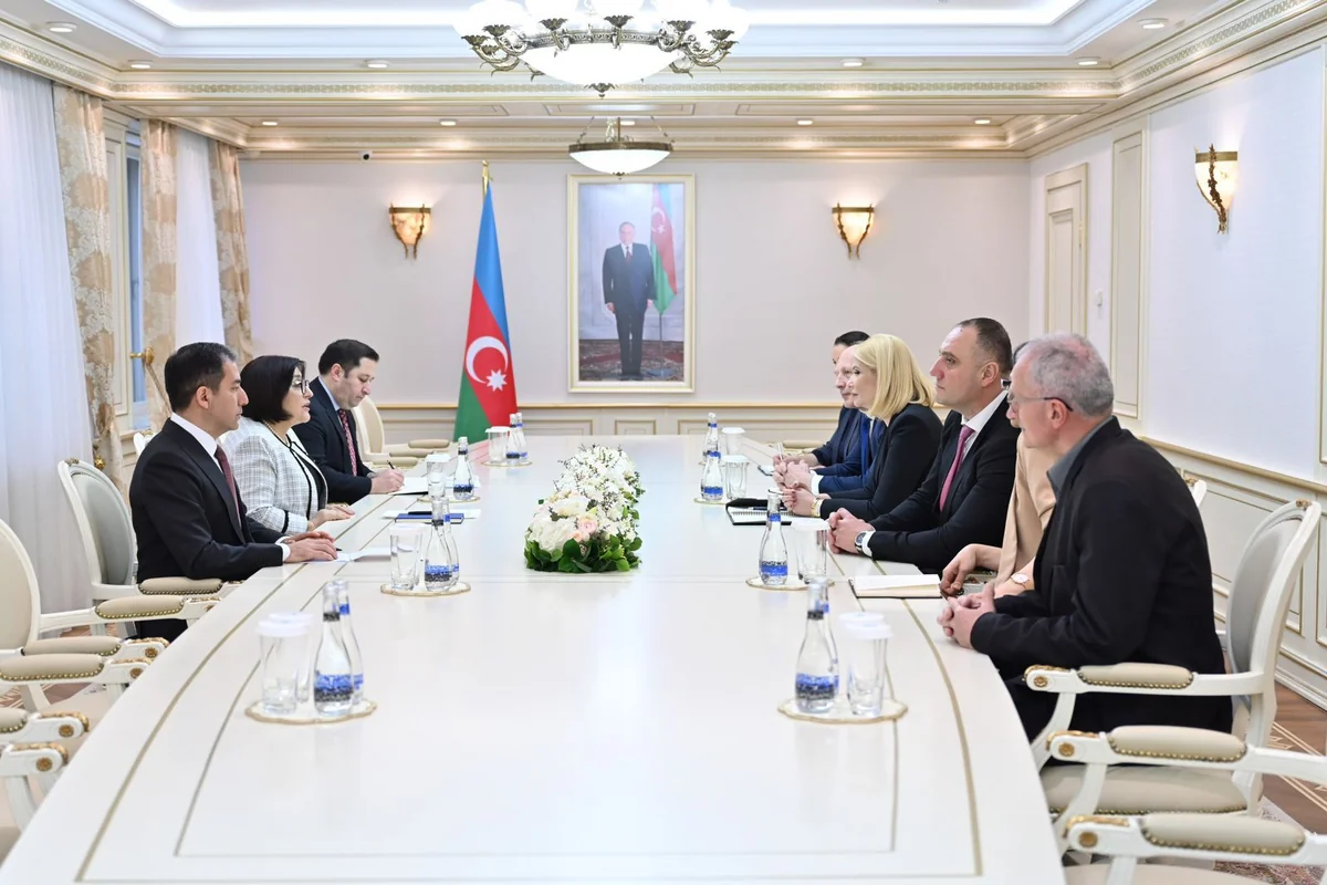 Speaker Sahiba Gafarova meets with Italian and Serbian Parliaments' observation mission members