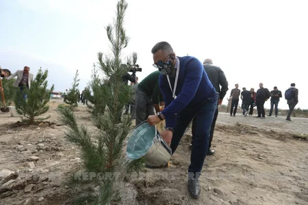 Представители дипкорпуса посадили деревья в Тертере