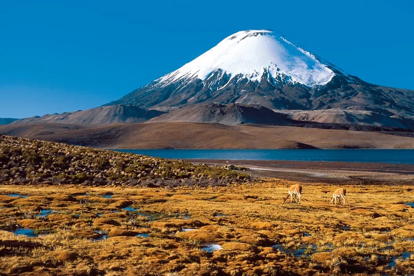 Çilinin Argentina və Boliviya ilə sərhədində zəlzələ olub