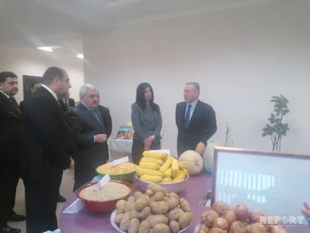Balakəndə SOCAR prezidentinin iştirakı ilə rayonun iqtisadi durumu və sosial problemlərinin həlli müzakirə olunub - FOTO