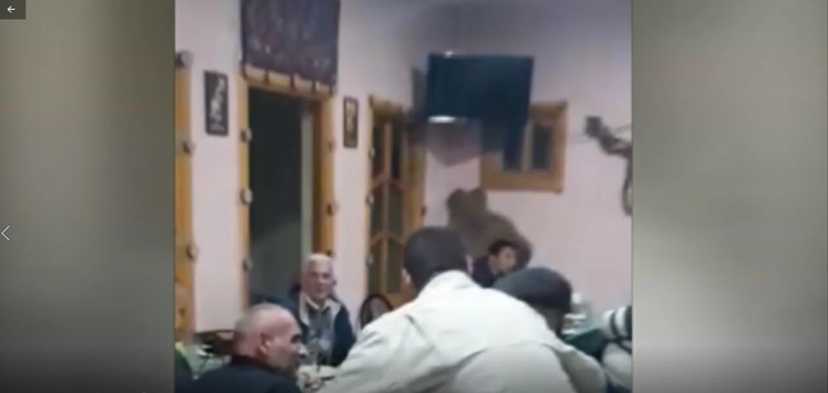 İşlətdiyi kafedə özünə ad günü məclisi təşkil edən şəxs məsuliyyətə cəlb olundu
