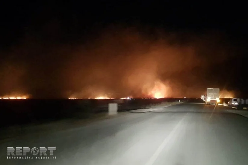 В Шамахинском и Агджабединском районах сгорели пшеничные поля - ОБНОВЛЕНО