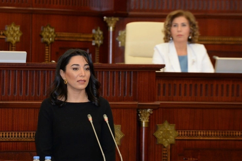 Ombudsmanın illik hesabatı Milli Məclisə daxil olub