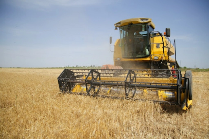 Nazirlik: Taxıl sahələrinin 13 %-də biçin başa çatıb