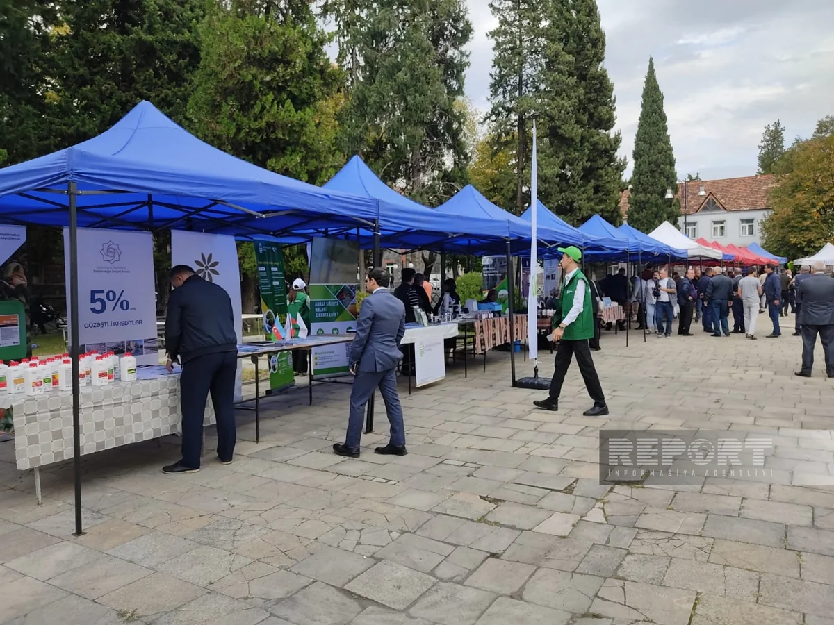 Qaxda toxum sərgi-satış yarmarkası keçirilib