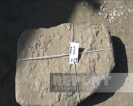 Goranboyda beynəlxalq arxeoloji ekspedisiya tədqiqatlar aparır