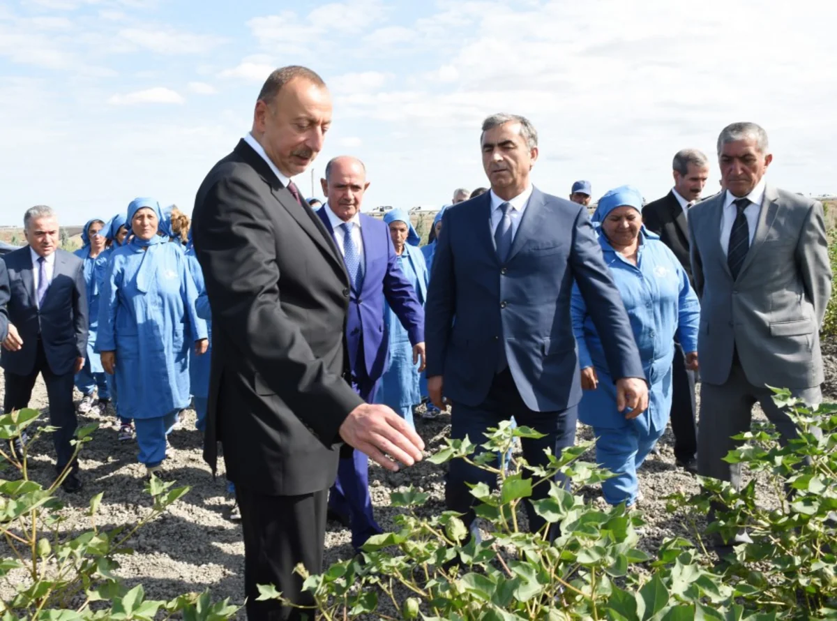 İlham Əliyev: Pambığın alış qiymətini artırdıq ki, tarlalarda işləyənlər daha çox pul qazansınlar