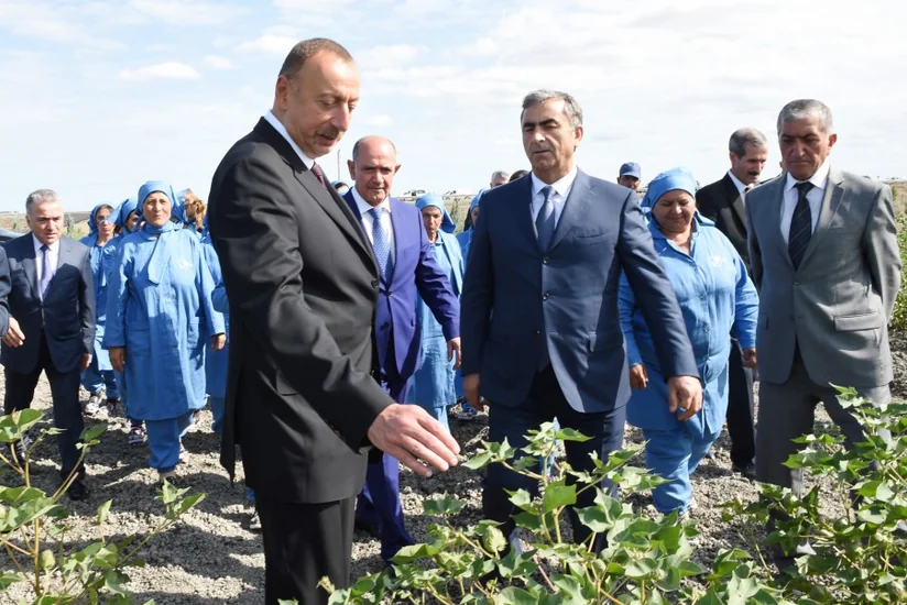 İlham Əliyev: Pambığın alış qiymətini artırdıq ki, tarlalarda işləyənlər daha çox pul qazansınlar