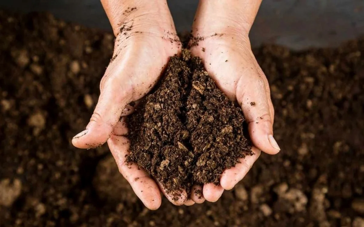 Azerbaijan resumes peat supply from Finland