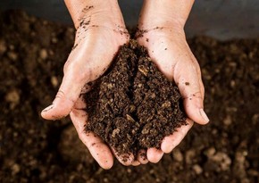 Azerbaijan resumes peat supply from Finland