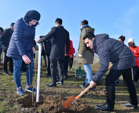 Təhsil Nazirliyi ağacəkmə aksiyası keçirib