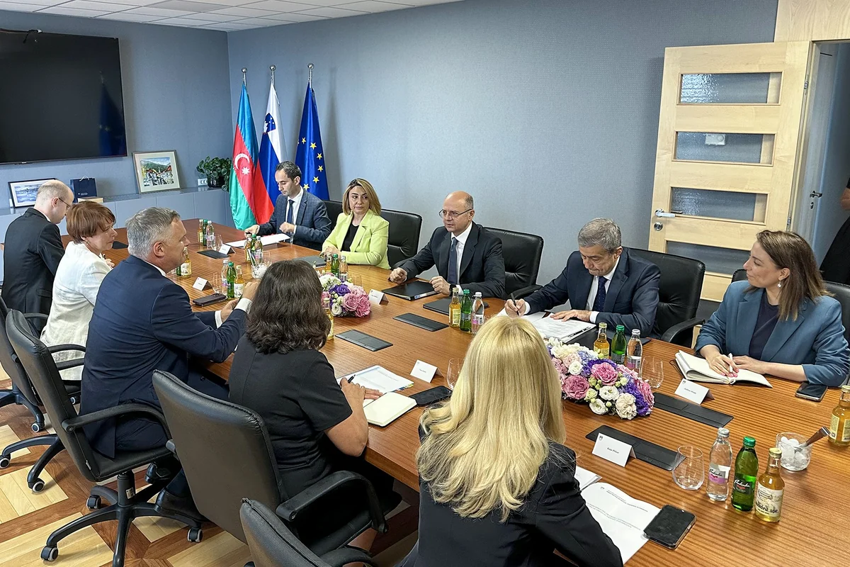Azerbaijan, Slovenia discuss green energy collaboration